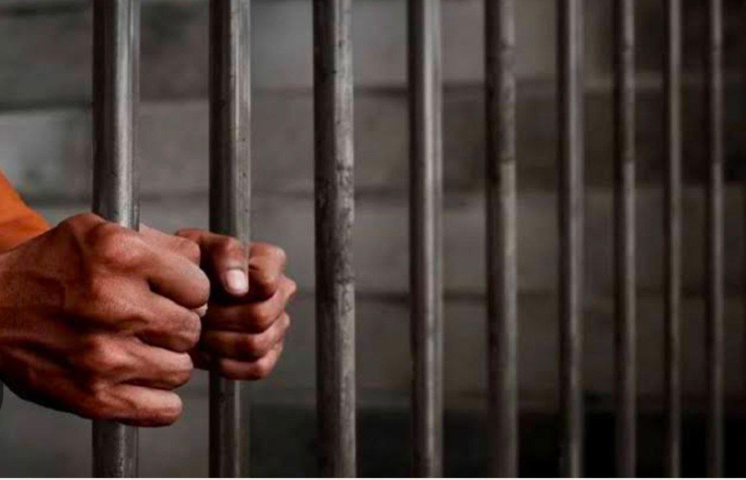 IMG_20260117_125203_800