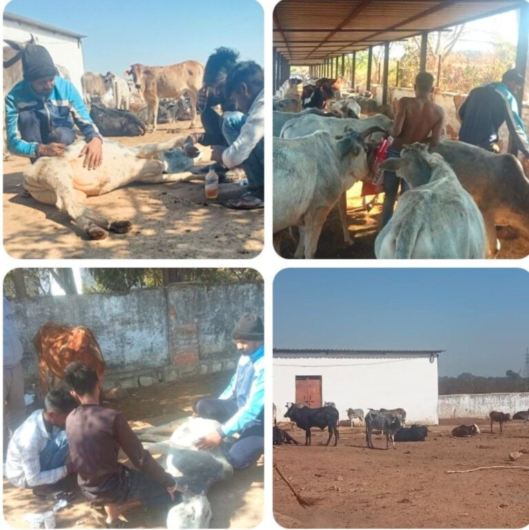 IMG_20260117_190115_728