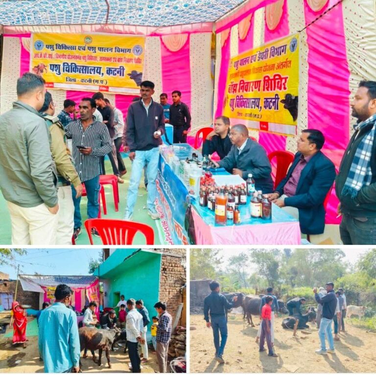 IMG_20260118_100740_333