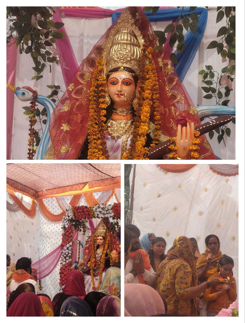 IMG_20260123_202110_568