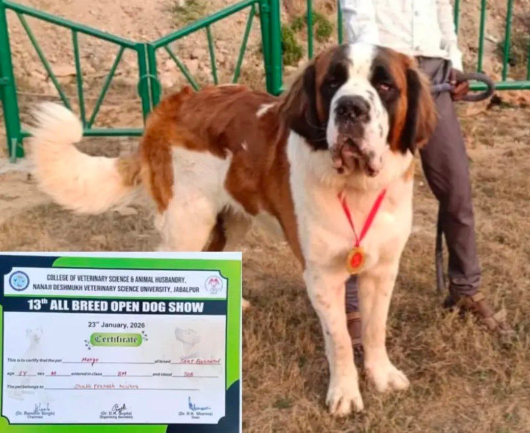 IMG_20260124_112503_274