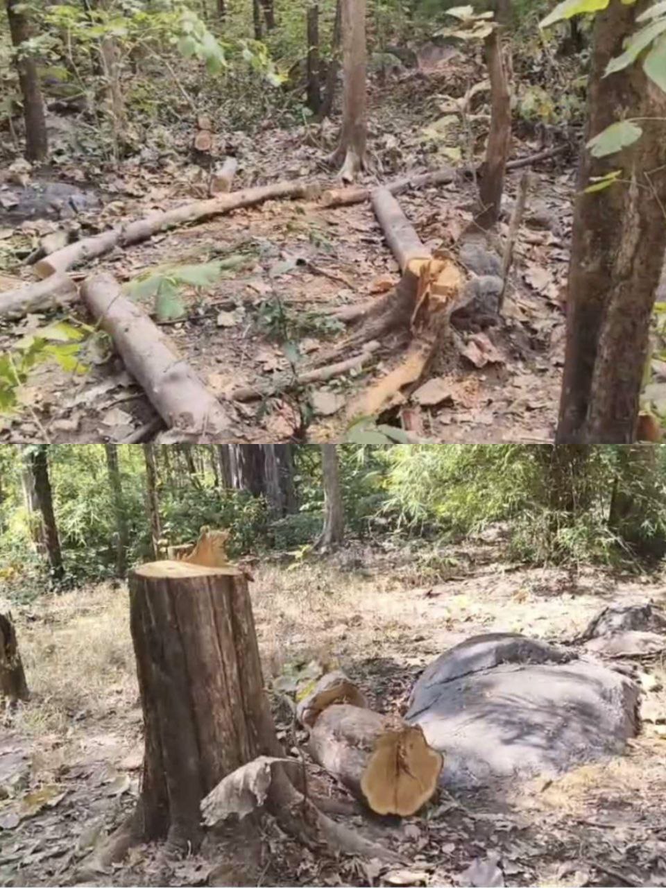 IMG_20260124_214543_019