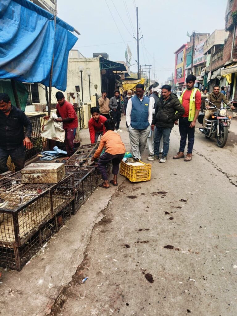 IMG_20260124_222505_206