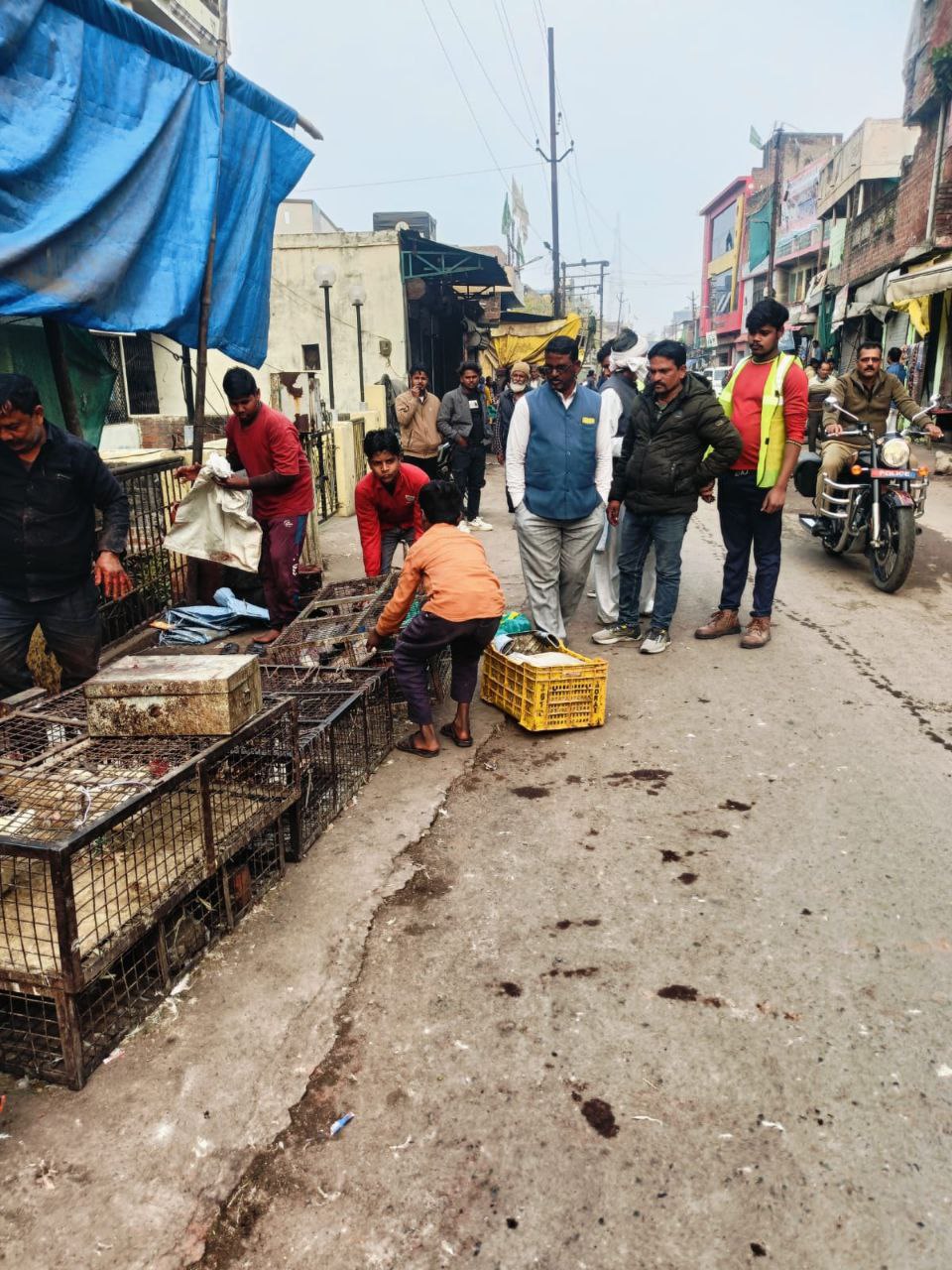 IMG_20260124_222505_206