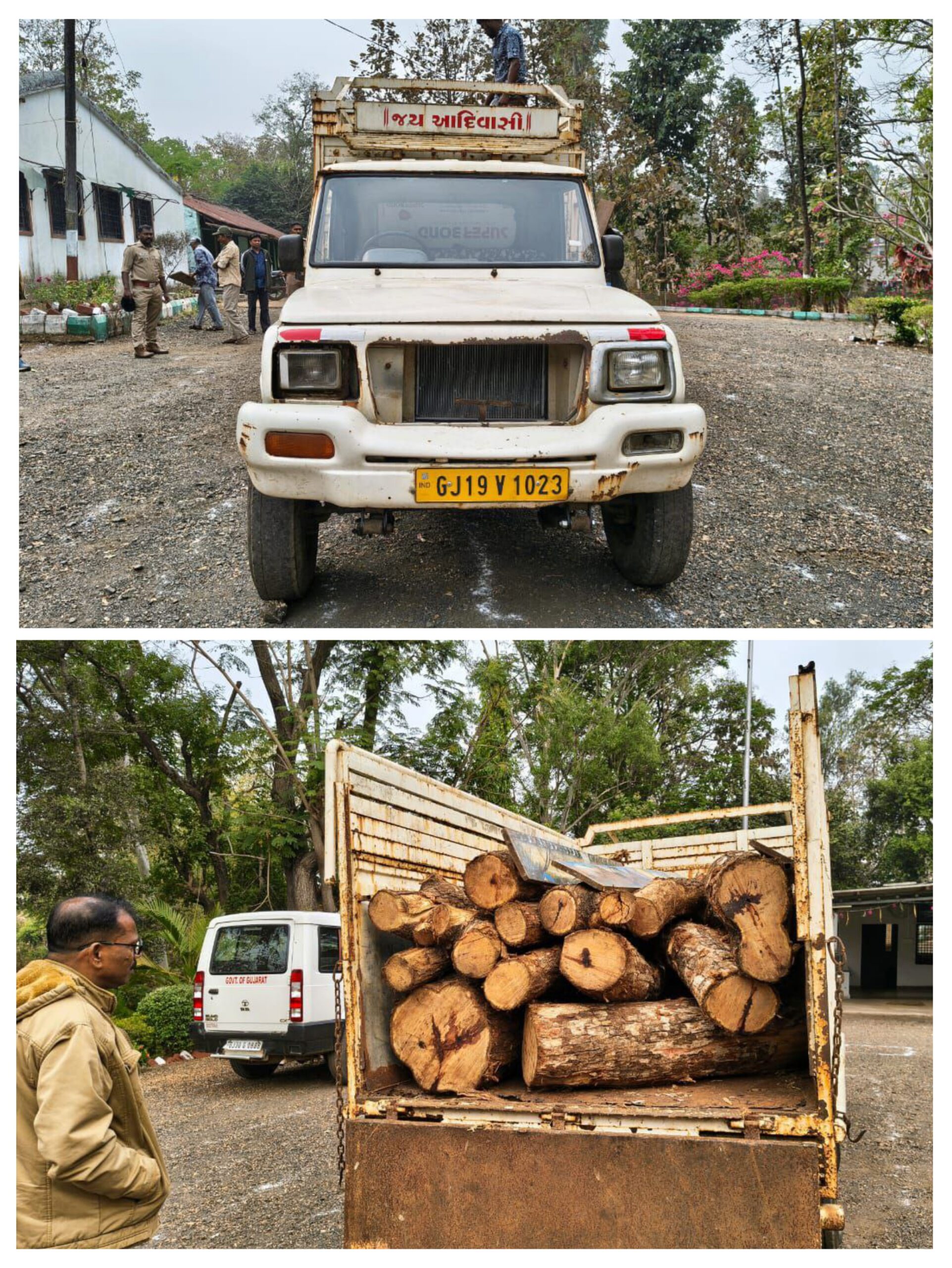 20260202_174849-COLLAGE