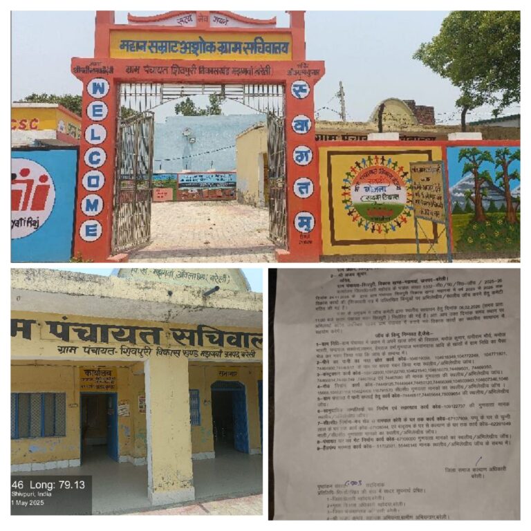 20260205_152817-COLLAGE