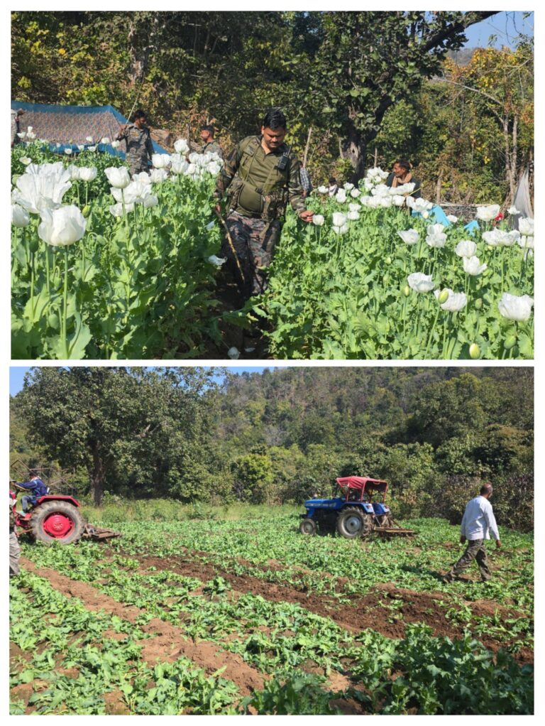 20260206_185616-COLLAGE