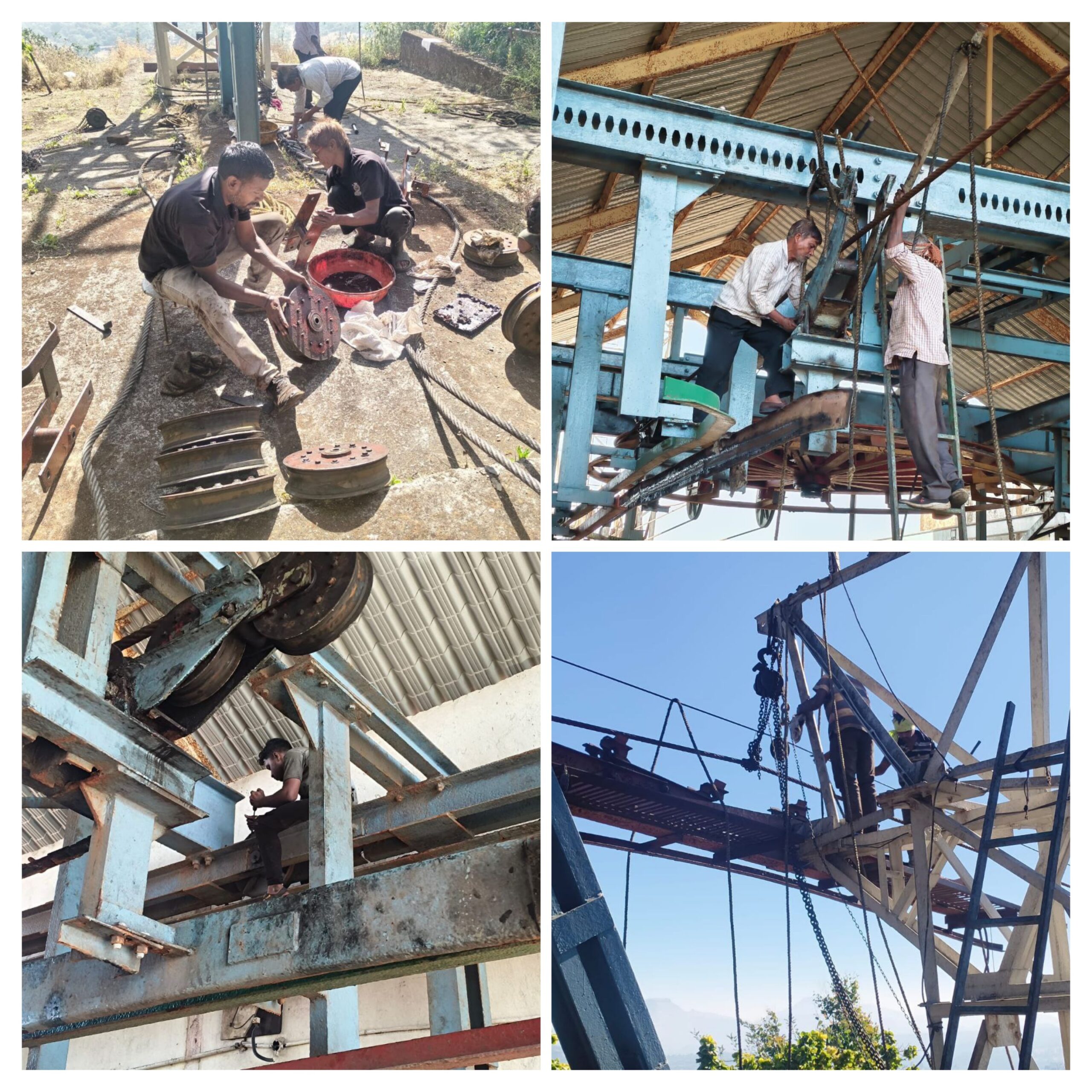 20260217_104032-COLLAGE