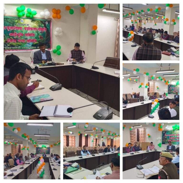 20260218_203230-COLLAGE