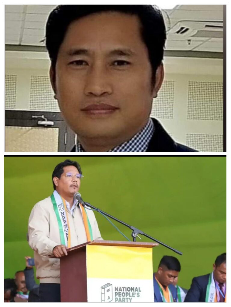 20260224_152557-COLLAGE