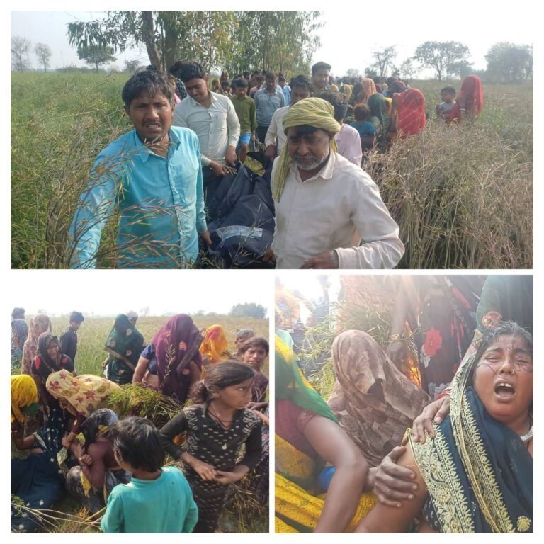 20260226_204745-COLLAGE