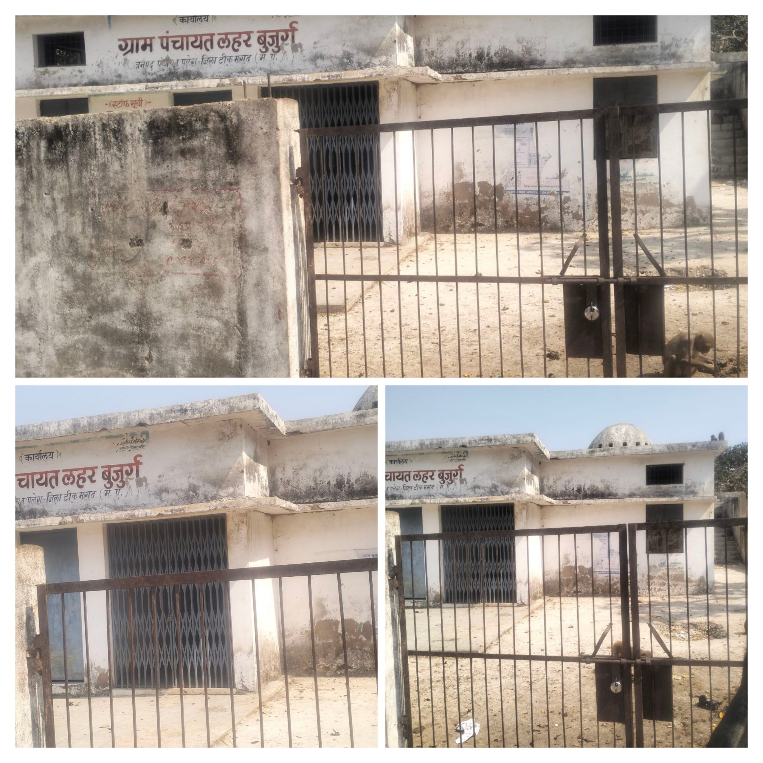 20260227_094826-COLLAGE