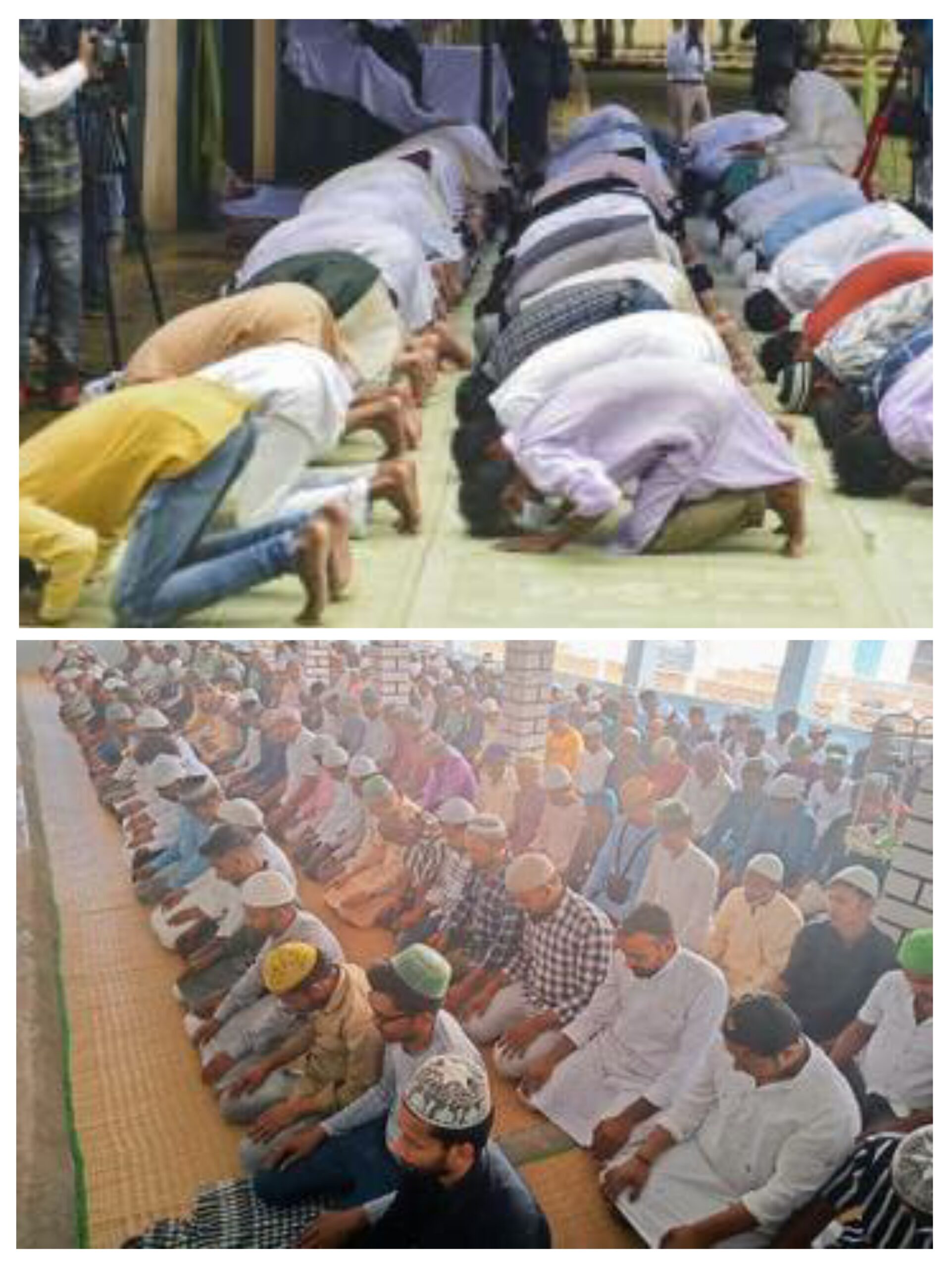 20260314_094907-COLLAGE