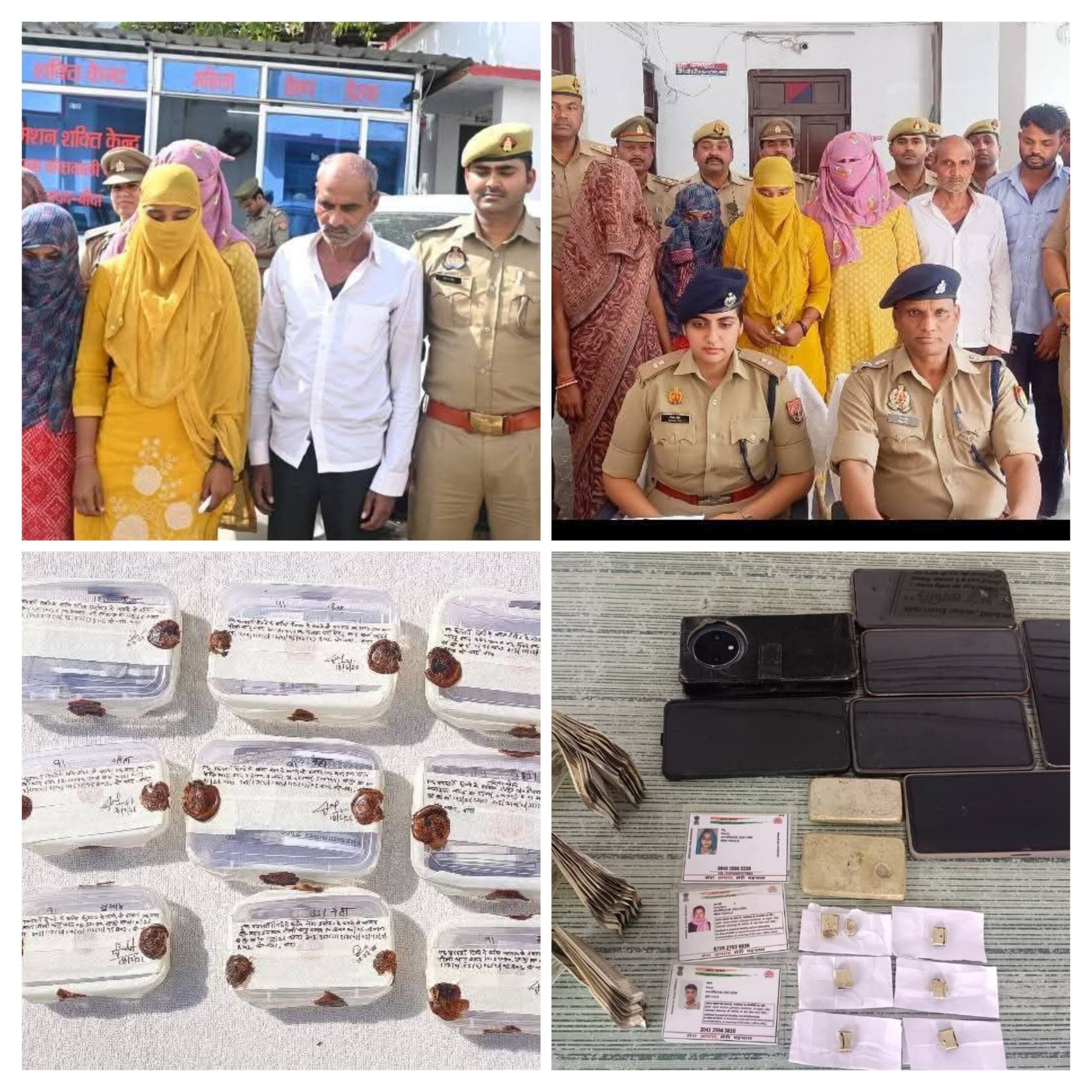 20260318_210139-COLLAGE