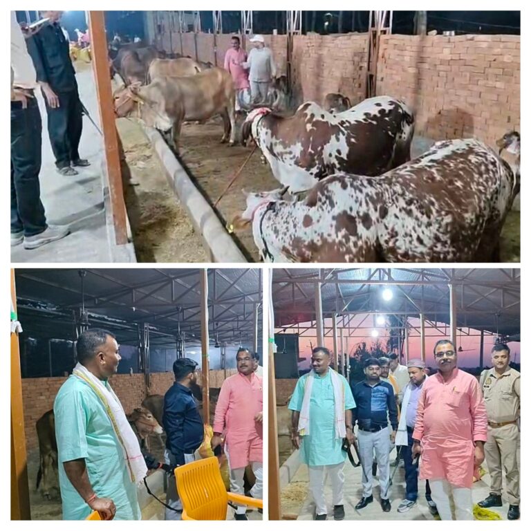 20260325_175443-COLLAGE