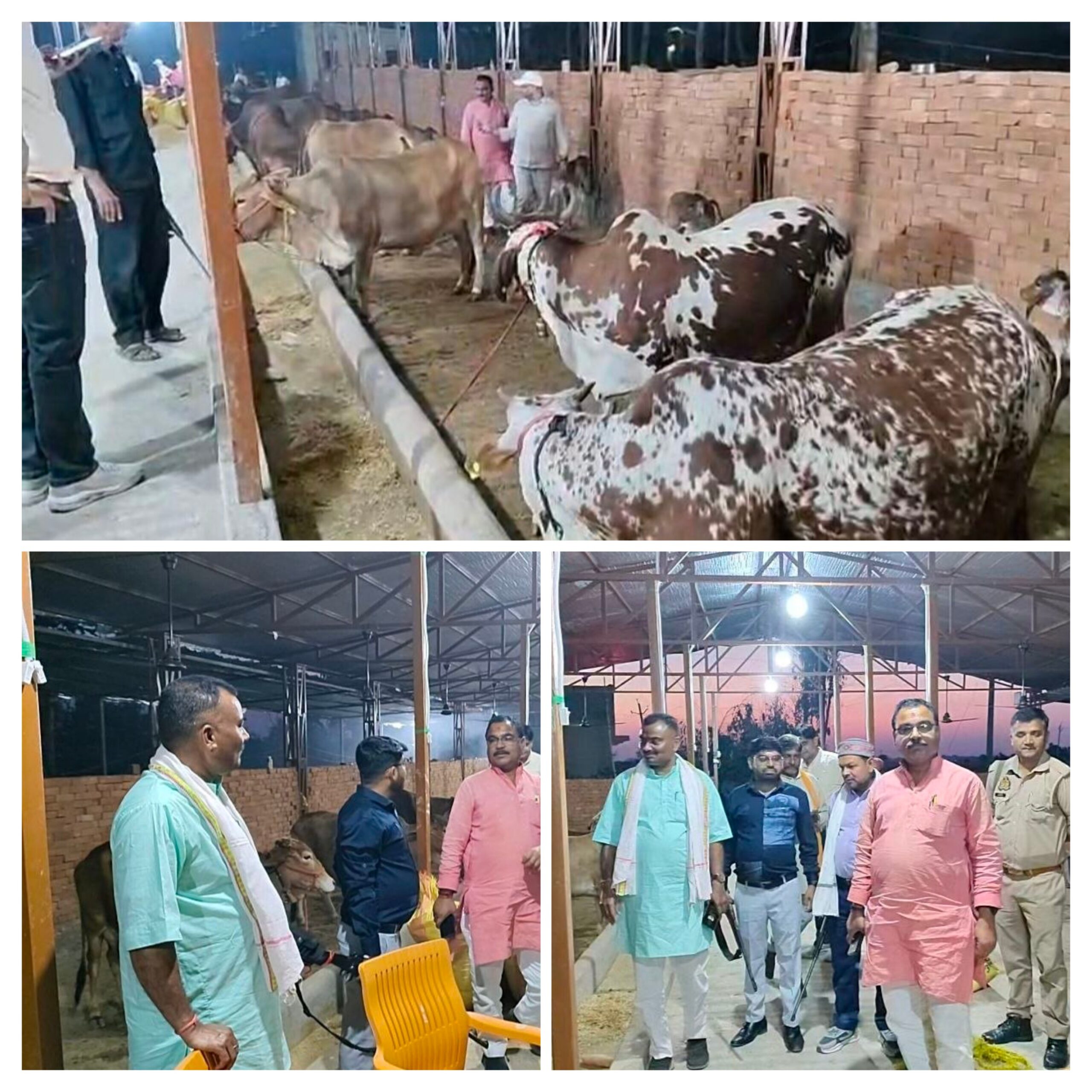 20260325_175443-COLLAGE