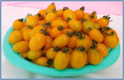 IMG_20260328_140244_545