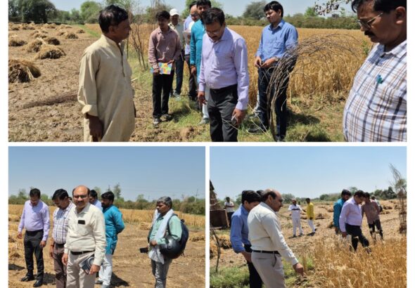 20260405_211548-COLLAGE