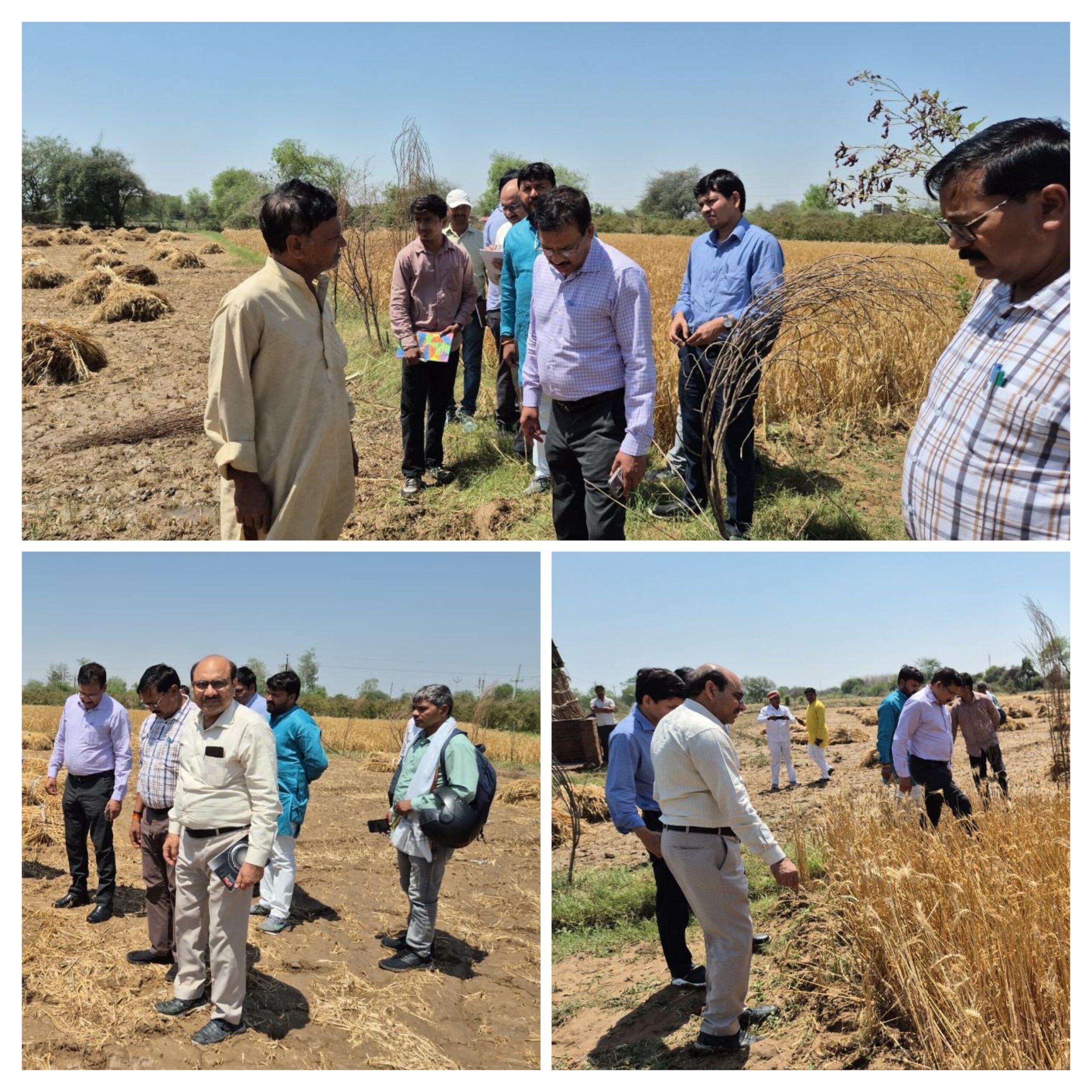 20260405_211548-COLLAGE