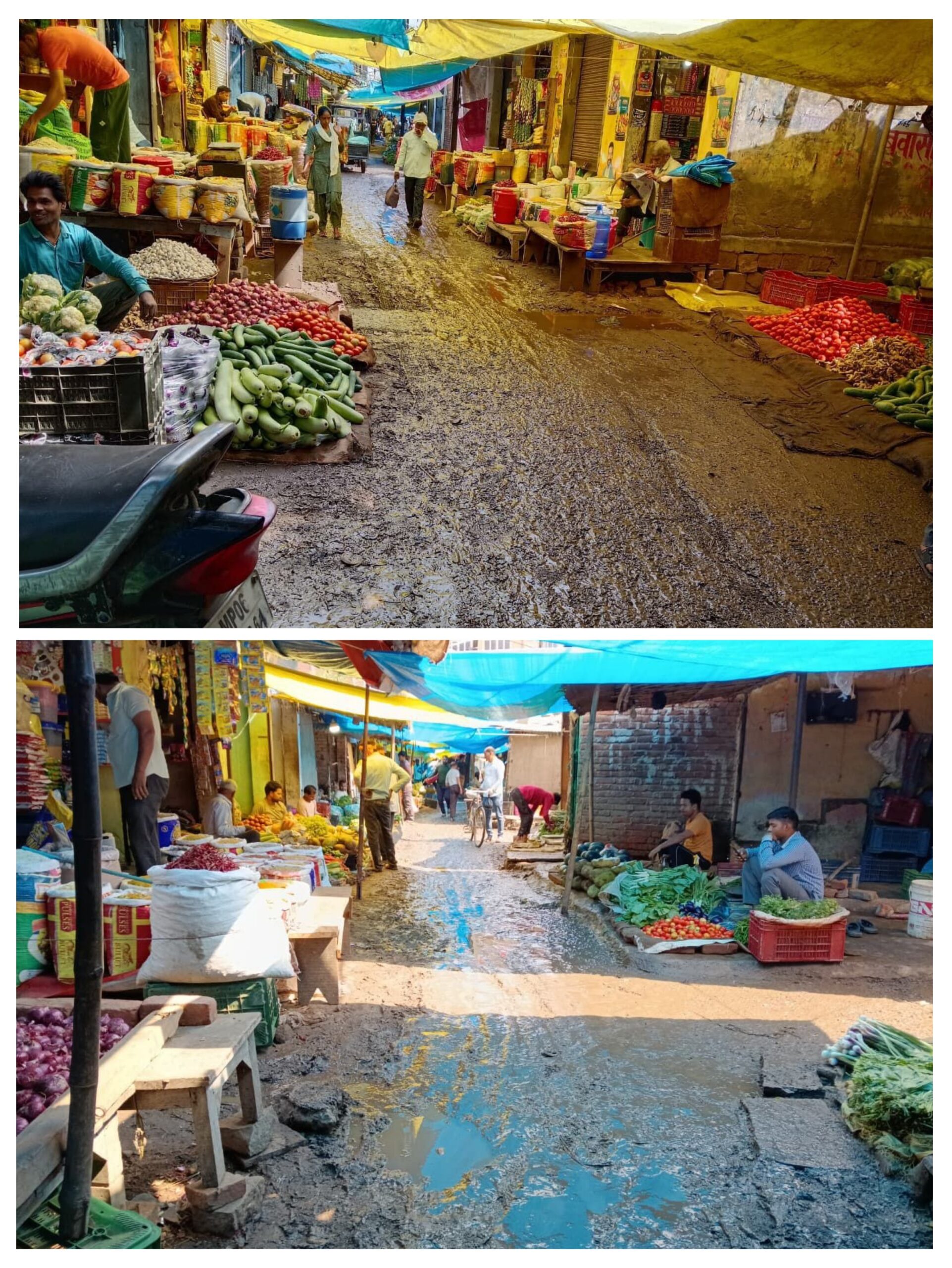 20260408_150552-COLLAGE