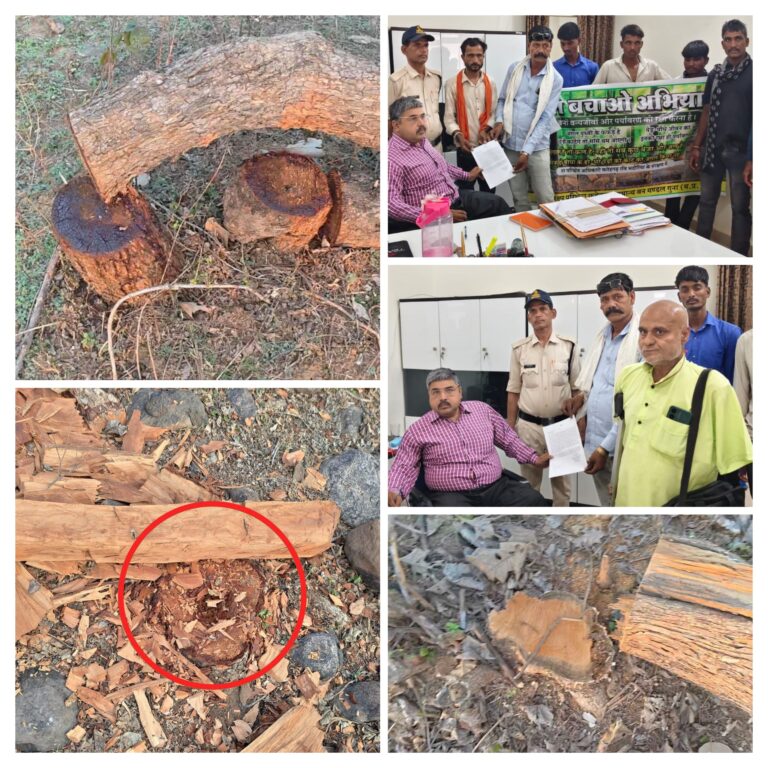 20260430_083006-COLLAGE