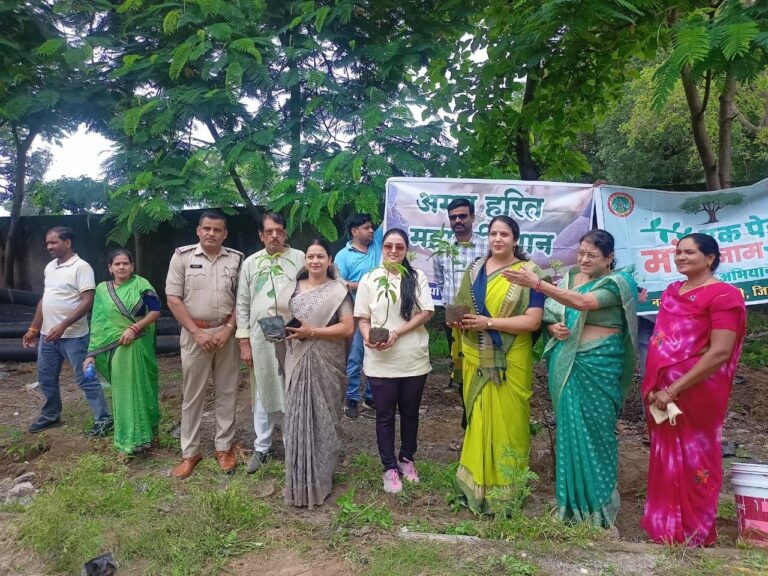 6280331682976044242