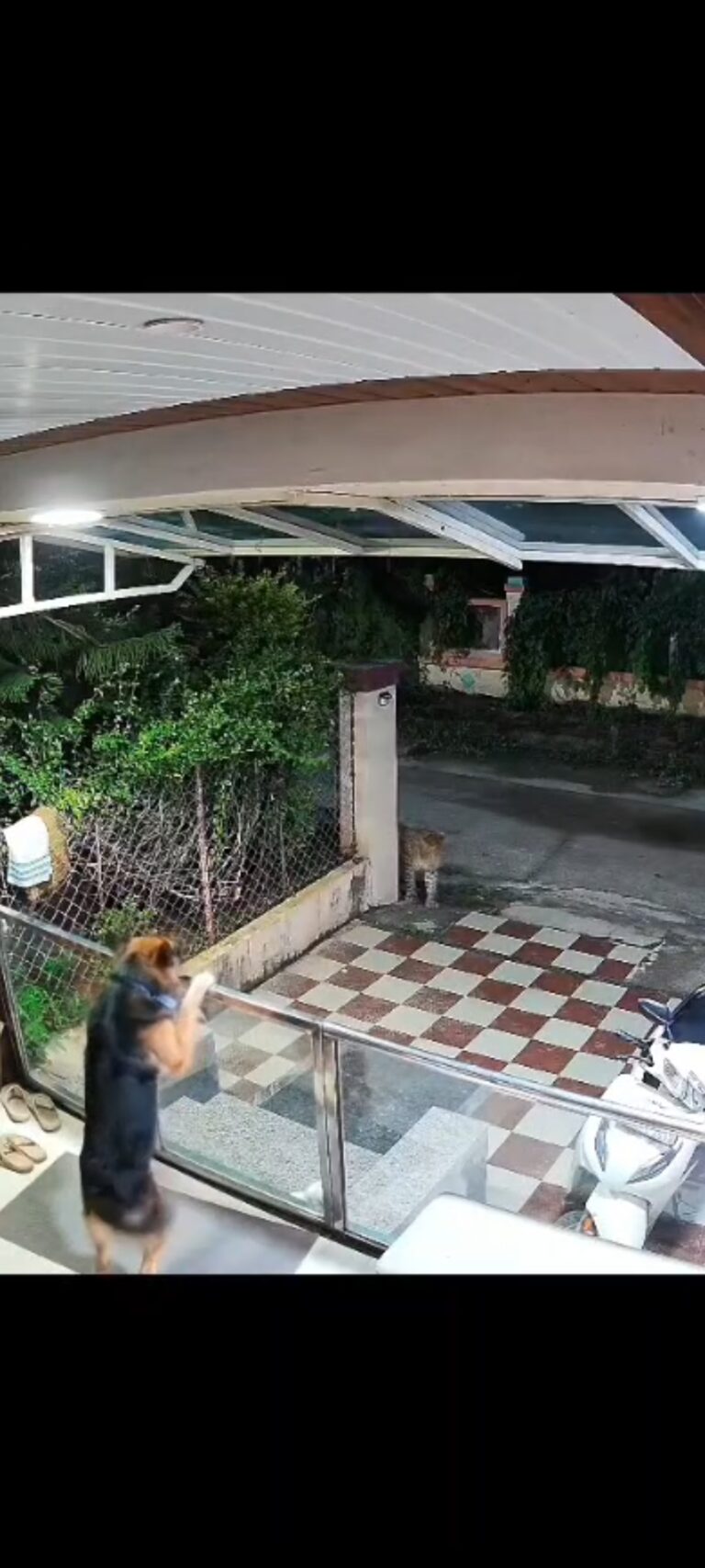 1000514271-2