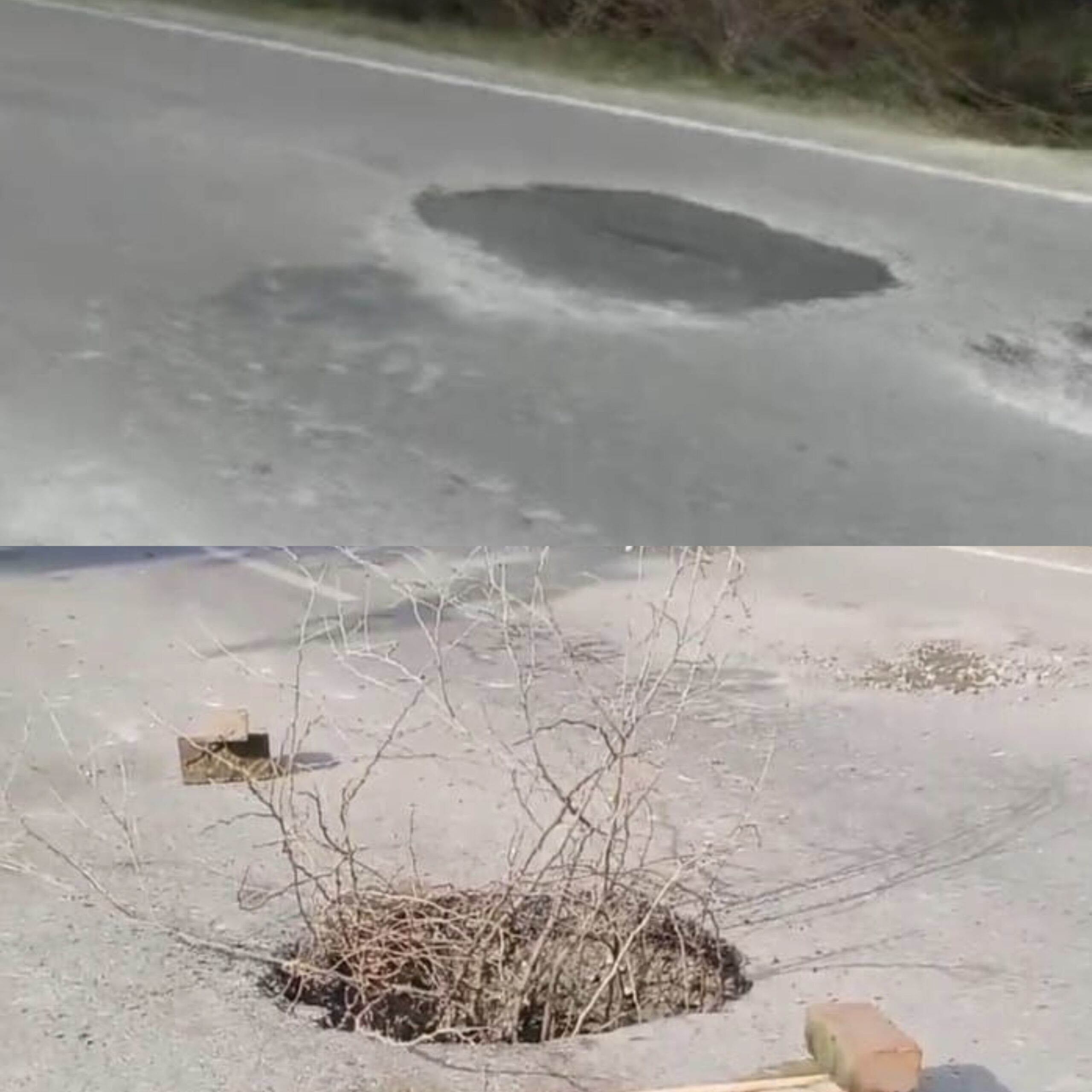 IMG_20260920_122846
